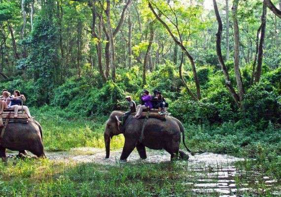 Chitwan National Park Tour